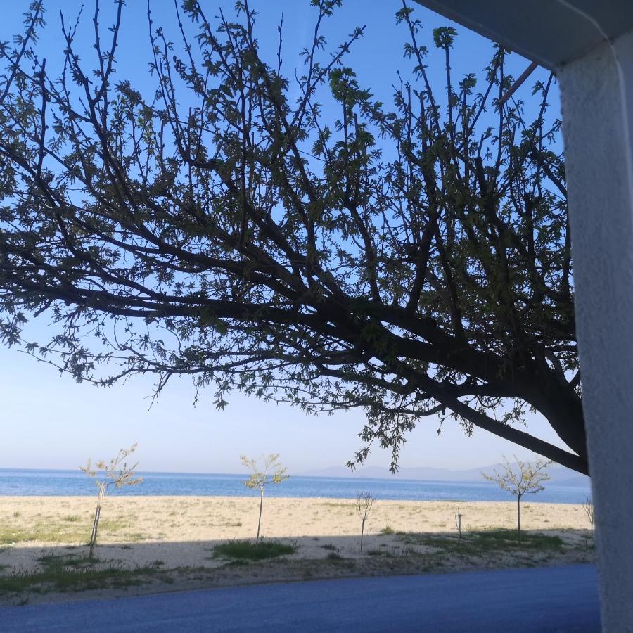 Greece Asprovalta Rooms Accomodation Apartment Hotel Petalo Luaran gambar
